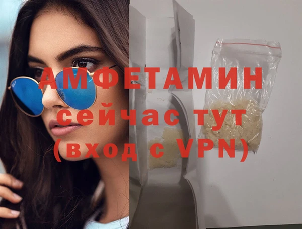 прущие грибы Балахна