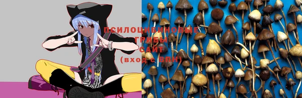 СК Балабаново